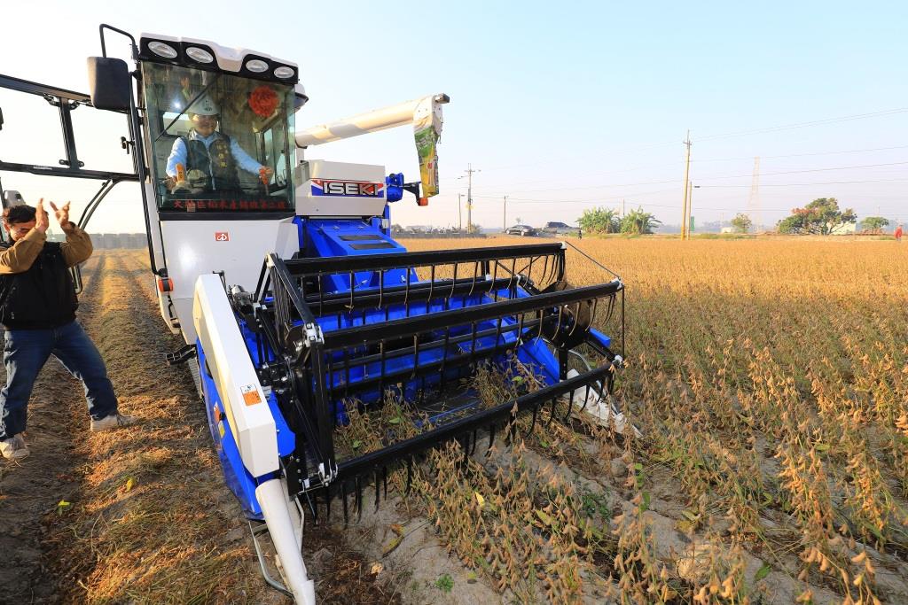 台中市政府積極推廣非基因改造作物,由農業局輔導海線地區農民,將二期再生稻轉作非基因改造大豆,今(18)日開始採收、準備上市。圖/台中市新聞局