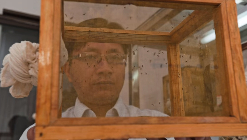 聯合國世界衛生組織 WHO 今（2）天宣布，將茲卡病毒（Zika Virus）疫情列「國際公共衛生緊急事件」，並建議孕婦考慮延遲前往疫區計劃。（圖片翻攝自：World Health Organization YouTube頻道）