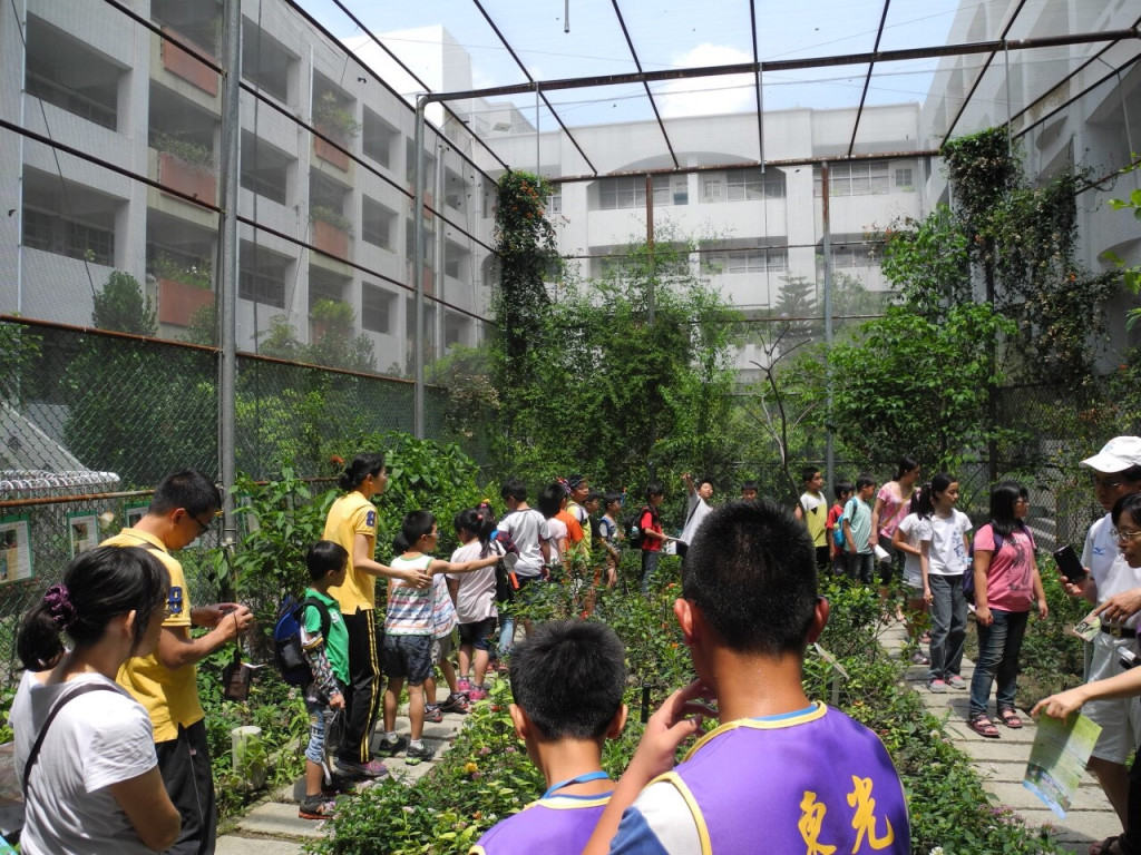 位在高雄都會的東光國小的網室蝴蝶園（照片/高市教育局提供）