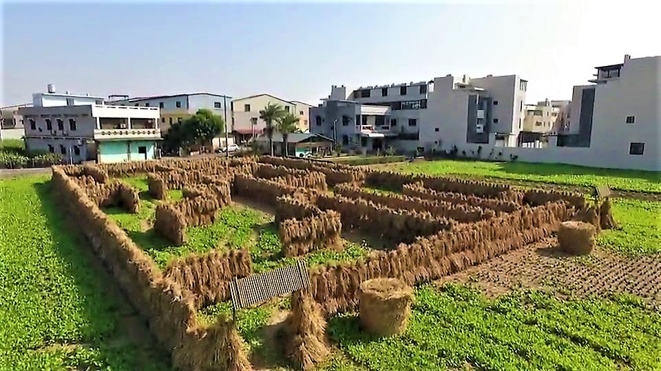 「嘉義愛稻草，水牛愛迷宮」（太保市中興路一段200號旁農田)，12月15日起至29日每天上午9時到下午4時對外開放。(圖/嘉義縣府)