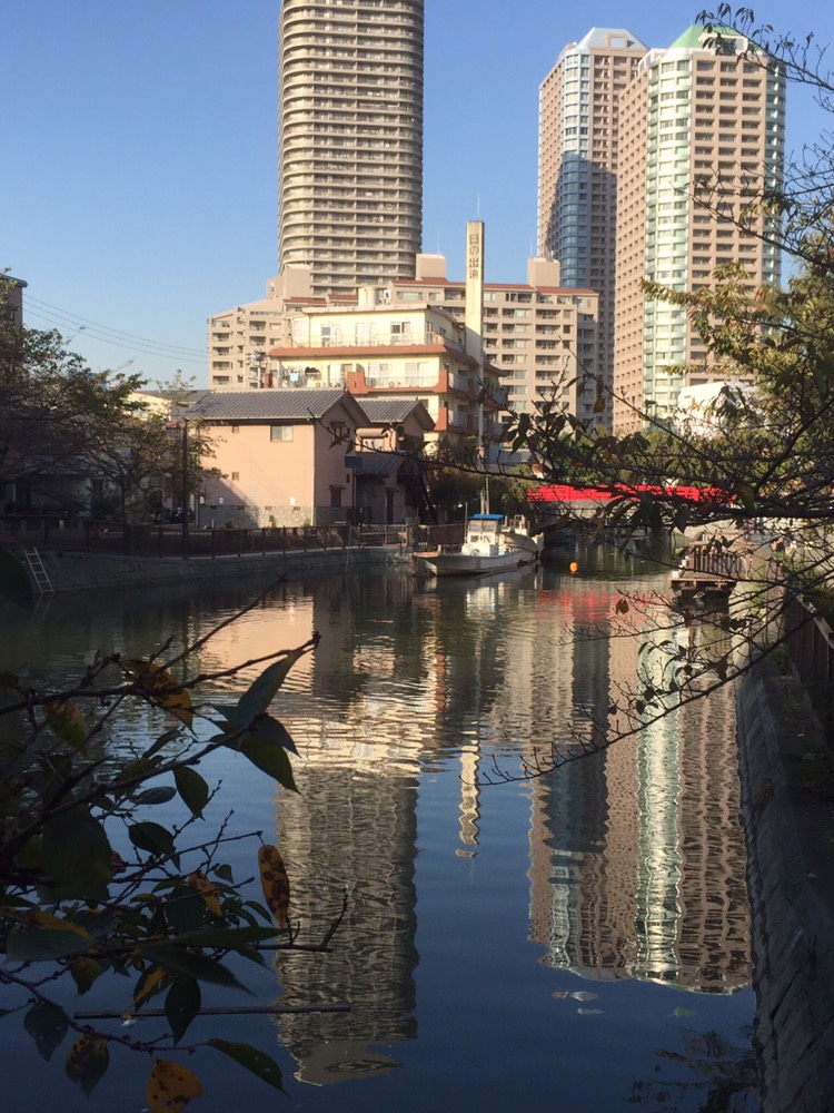 東京灣岸古老地區的佃島、月島都蓋了許多塔樓大廈。圖／劉黎兒攝影