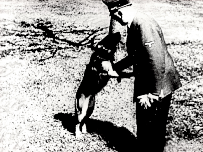據說希特勒本人偏愛德國狼犬，甚至還將其做為納粹的宣傳工具。（網路資料）