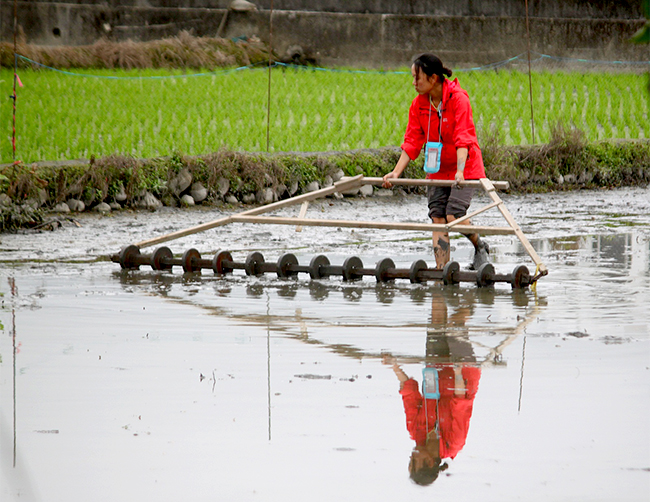 深溝村創造的景緻,展現了復興農業的具體價值。台灣一直在經濟數據上苦苦追趕,除了補足自己缺乏的部分,有沒有能靜下來看看我們所擁有的資產?