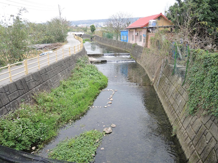 「湧泉」是寶貴的天然資源，大肚山脈有一連串湧泉區存在，市府將進行勘察規劃，推動湧泉自然資源與文化資産的開發保護和利用。（中市新聞局提供）