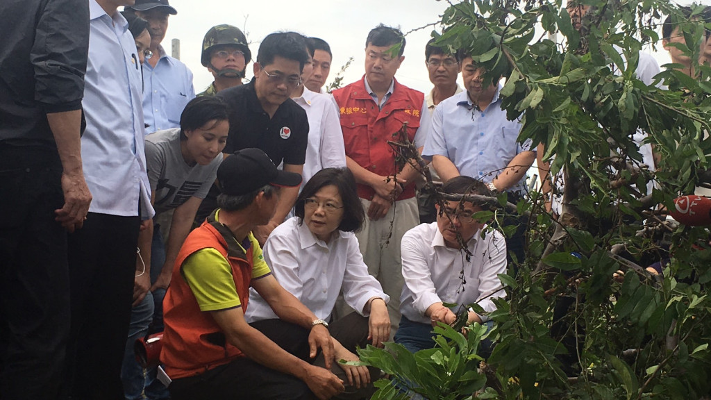 東服中心執行長許傳盛（穿紅衣背心站立者）陪同蔡英文總統至太麻里鄉美和勘查當地釋迦落果倒株災損情形。（資料照片／東辦提供）