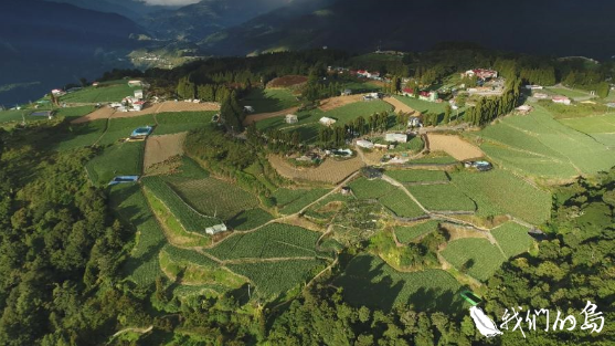 人們為了在山上討生活，帶著蘋果、水梨，茶樹、高麗菜攻城掠地。圖／公視《我們的島》提供