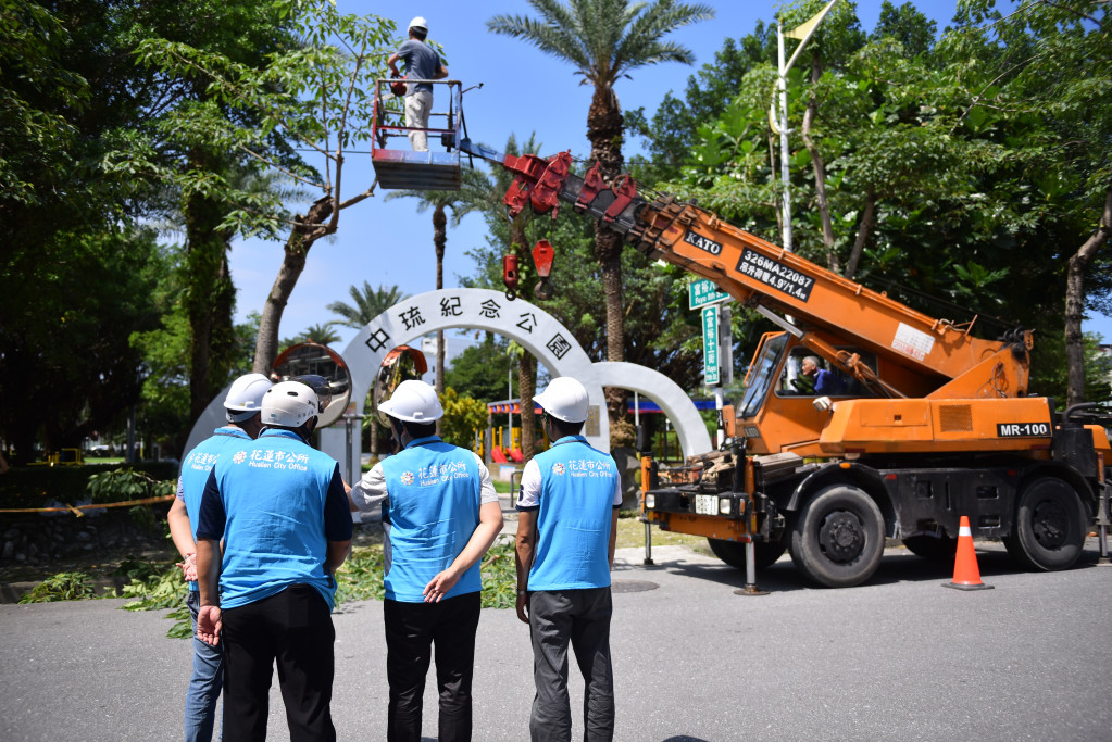 中琉公園栽種的木棉樹飄散的棉絮跟花，造成居民不便與困擾，市公所今天移除。圖／王志偉翻攝