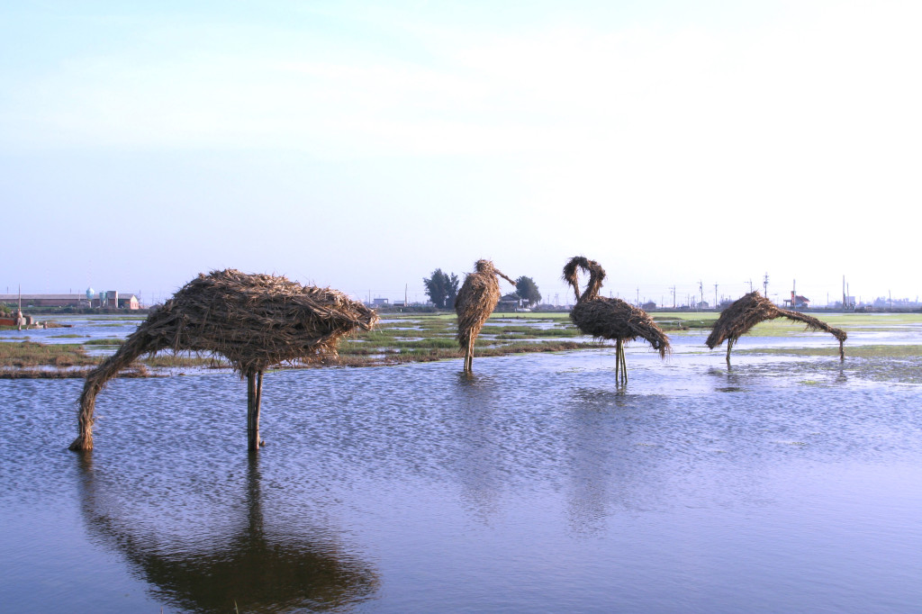 雲林縣口湖鄉成龍濕地(照片取自口湖鄉公所網頁)