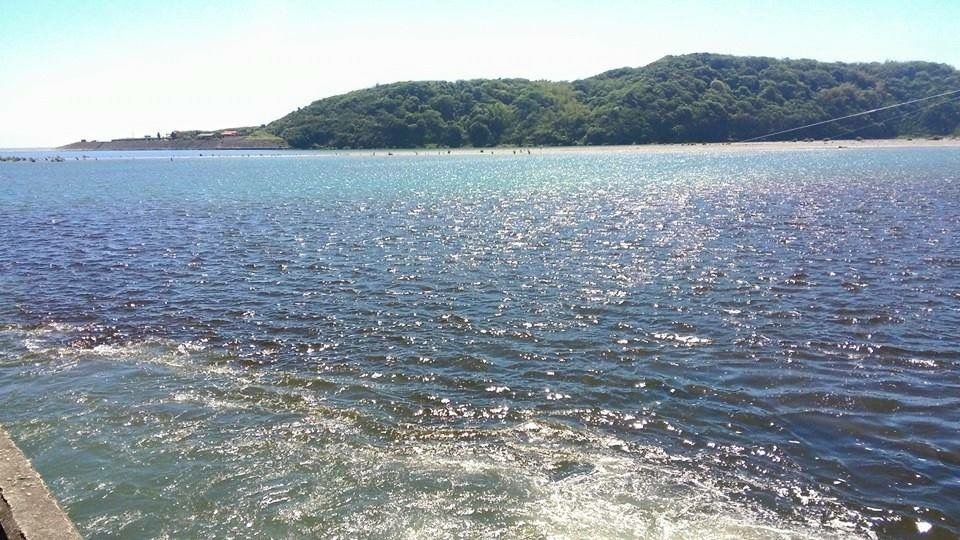 廢水排入花蓮溪出現「陰陽海」。