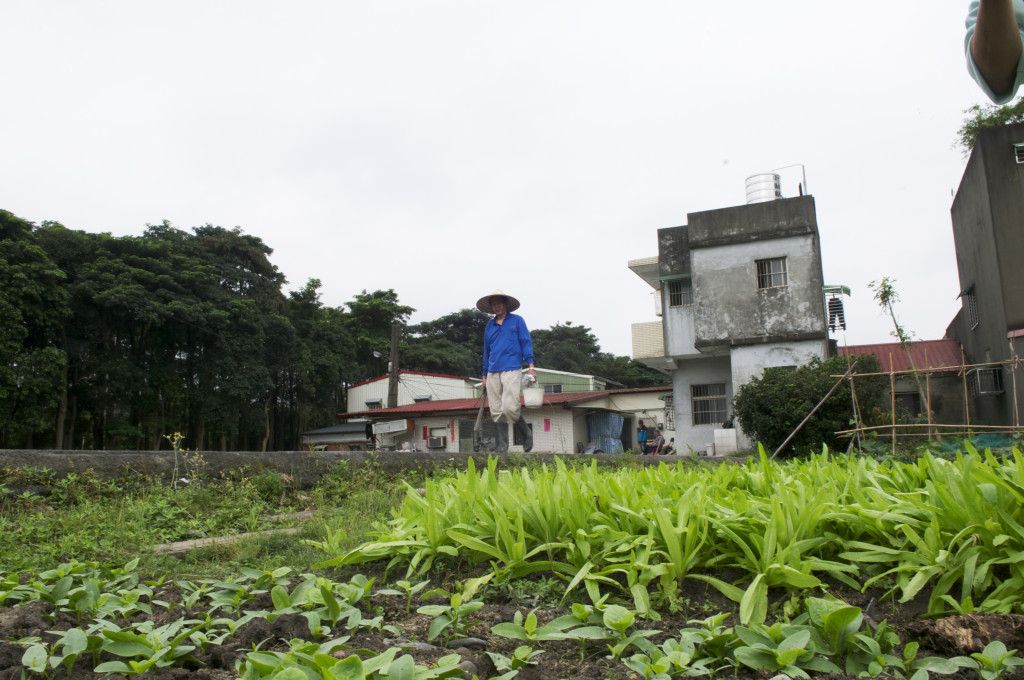 「地產地銷」的本質是為了對抗跨國、跨洲的農產品傾銷，試圖挽救在地的中小型農產業，是一種抗衡全球化貿易的手段。（民報資料照片，黃謙賢攝）