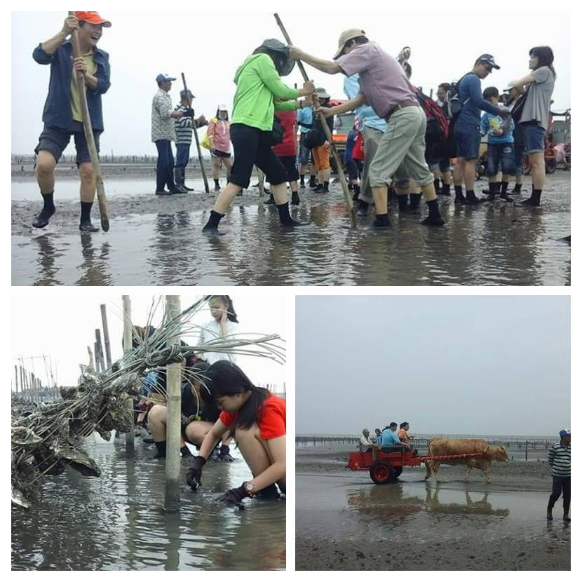 全台僅見的海牛生態之旅活動，即將可能登錄為國家文化資產，靠的是一個一無所有的人，一步一腳印，讓一個沒落漁村重獲生機．．．。（圖：魏清水）