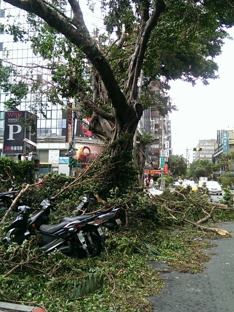 8月是全年颱風侵台最多的月份，父親節則是颱風的熱門檔期。如圖這種父親節的「慶祝行情」，令人不忍卒睹。