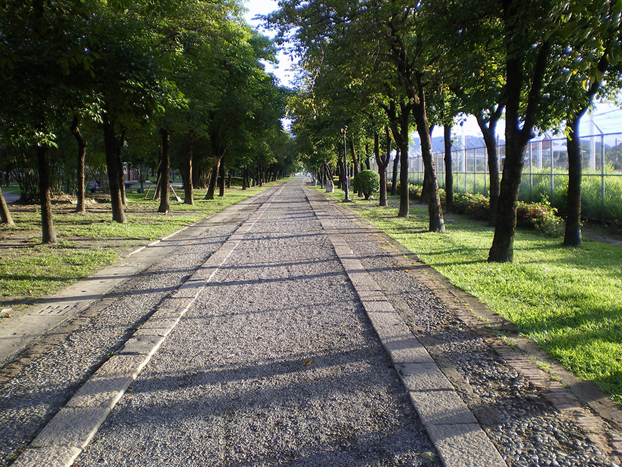 高雄原生植物園步道（圖片：作者提供）