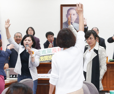 立法院經濟委員會16日要審查農委會預算，但國民黨團提出變更議程，要農委會在明天針對核災食品進行專案報告，但遭民進黨團否決，雙方吵成一團，邱議瑩（右）說出「跟這些番仔說沒有用」，這引發了國民黨的原住民立委強烈不滿。圖／中央社