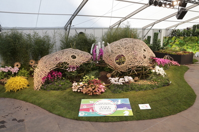 台灣區花卉發展協會以台灣特有的蘭花與竹編藝術,在有177年歷史的比利時根特花卉展,奪下國際組銀牌,再次讓國際看到台灣精緻的花卉藝術。(圖取自中央社/台灣區花卉發展協會提供)